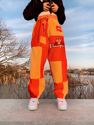 sesame street x champion sweats